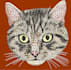 do expert embroidery digitizing and 3d puff master design