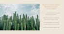 create an appealing website