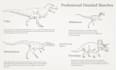 draw anatomical and comic dinosaurs illustrations