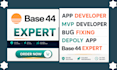 base44 expert base44 bug fixing base44 web app base44 app deployment mvp design