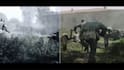 create visual effects and digital compositing and cgi for your video