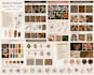 develop a unique fashion collection, concept, theme, and mood board