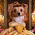 disney princess portrait female focused disney pet