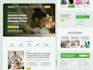customize your wordpress website with impreza theme and wpbakery builder