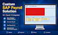 do sap abap custom solutions