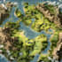 do fantasy map design map maker vector map illustration