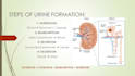 create high yield medico notes, summaries and diagrams