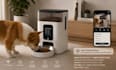 design smart pet product cad, pet tech, automatic pet feeder, solidworks expert