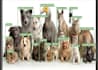 do accurate ai data labeling and annotation