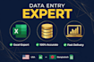 do fast and accurate data entry, excel, copy paste
