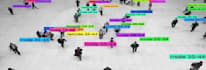 do accurate data annotation, image labeling, and text classification