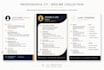 create a modern and professional CV resume design