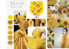 create stunning fashion moodboard and presentation