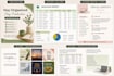 your virtual assistant for canva,data entry, presentations and more