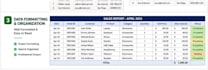 do accurate excel data entry and data cleaning