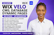 wix velo code wix cms wix database dynamic pages wix studio wix api integration