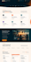 design website and development
