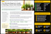 write SEO articles and blog posts