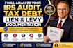 analyze your irs audit, tax debt, lien and levy documentation