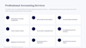 provide professional bookkeeping and accounting services