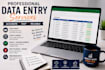 do data entry copy paste and excel data entry