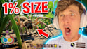 basic video editing and thumbnails fast and cheap