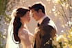 draw a wedding illustration
