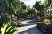 design your backyard pool deck patio and landscape design