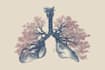 draw anatomy, medical, and scientific illustrations