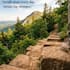 design professional canva social media posts