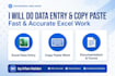 do fast data entry, PDF to excel in 24 hours