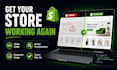 fix bugs and issues in your shopify store