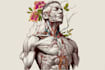 create medical illustration and diagram