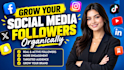 do organic facebook promotion, fb marketing and page growth