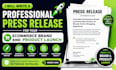write a professional press release for your ecommerce brand and product launch