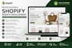 design a professional shopify store for your business
