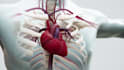 create 3d medical animation, medical explainer video, surgical animation