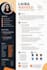 design a professional modern CV resume in canva