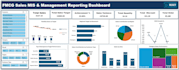 create automated excel mis reports  and management dashboard