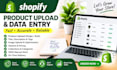 do data entry, data cleaning, google sheets