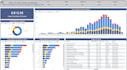 create a professional power bi dashboard