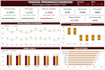 create professional excel and power bi dashboards and data analytics