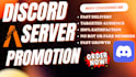 promote discord server, minecraft promotion, fivem ads, rust, dayz gaming server
