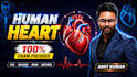 design professional youtube thumbnails with high CTR