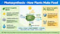 design powerpoint presentation and pitch deck