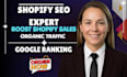 do shopify store seo optimization, website optimize as a shopify expert