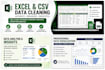 clean and analyze your excel or CSV data
