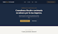 design and develop a professional website