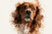 draw watercolor pet portrait