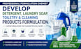 develop detergent laundry soap toiletry cleaning products formulation chemist